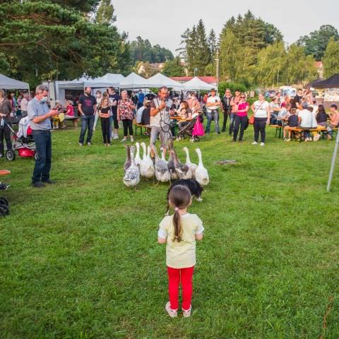 Marché Nocturne - BAERENTHAL - 17 juillet 2021