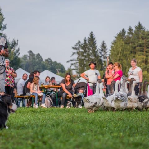 Marché Nocturne - BAERENTHAL - 17 juillet 2021