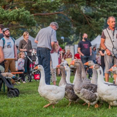 Marché Nocturne - BAERENTHAL - 17 juillet 2021