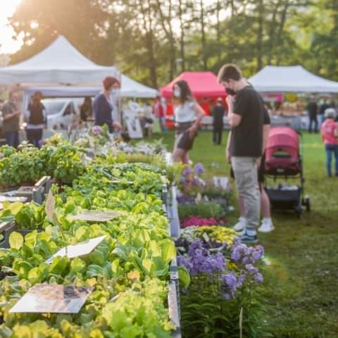 Marché Nocturne - BAERENTHAL - 17 juillet 2021