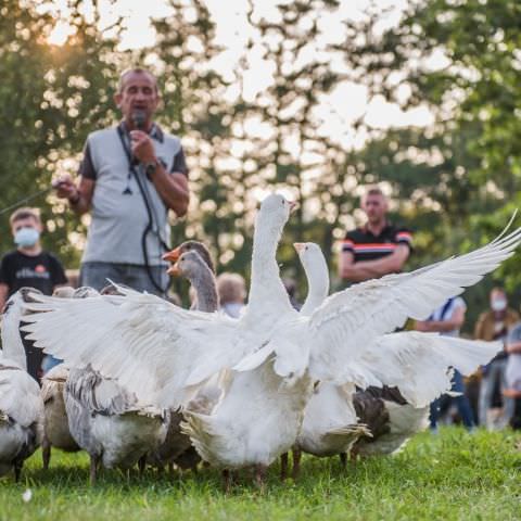 Marché Nocturne - BAERENTHAL - 17 juillet 2021