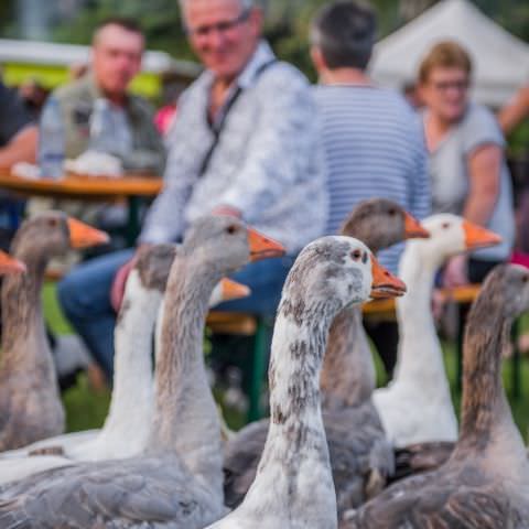 Marché Nocturne - BAERENTHAL - 17 juillet 2021