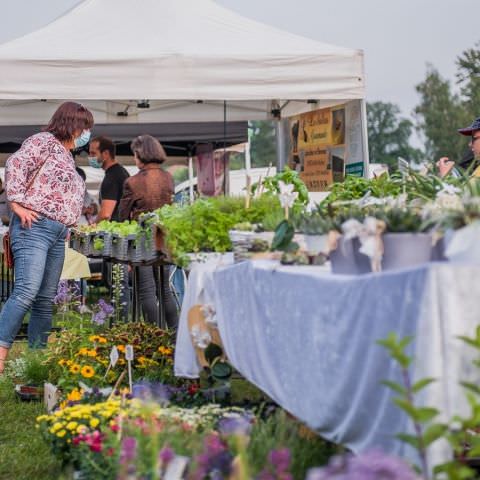 Marché Nocturne - BAERENTHAL - 17 juillet 2021