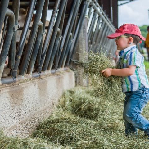 "DéPAT'ouille ton assiette" - Ferme Lang - 11 juillet 2021