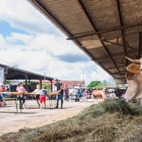 "DéPAT'ouille ton assiette" - Ferme Lang - 11 juillet 2021