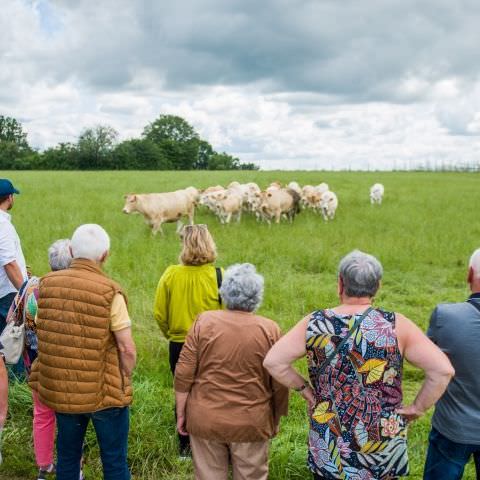 "DéPAT'ouille ton assiette" - Ferme Lang - 11 juillet 2021