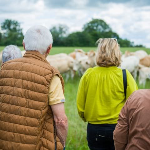 "DéPAT'ouille ton assiette" - Ferme Lang - 11 juillet 2021