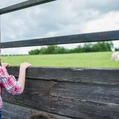 "DéPAT'ouille ton assiette" - Ferme Lang - 11 juillet 2021