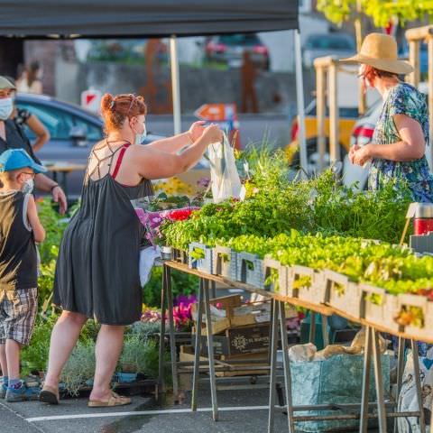 Marché Nocturne - GOETZENBRUCK - 13 août 2021