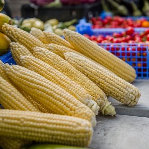 Marché Paysan - WOELFLING - 12 septembre 2021