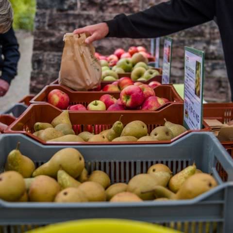 Marché Paysan - BITCHE - 03 octobre 2021
