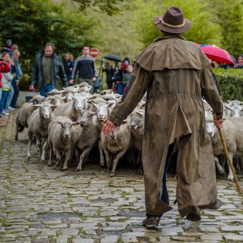 Marché Paysan - BITCHE - 03 octobre 2021