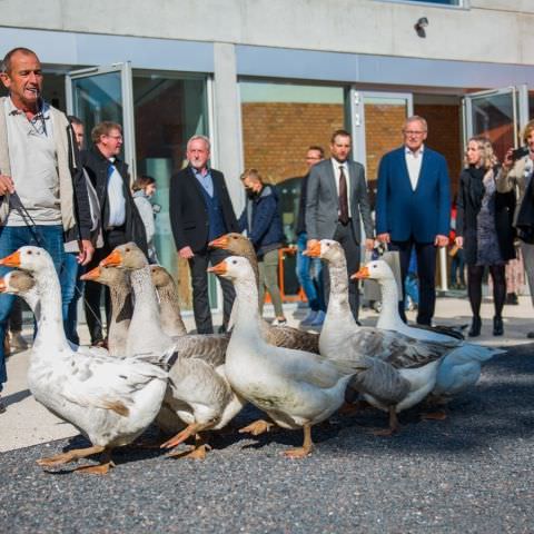 Marché Paysan - MEISENTHAL - 10 octobre 2021