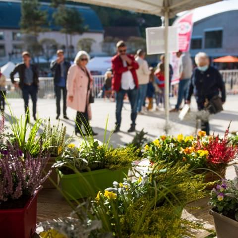 Marché Paysan - MEISENTHAL - 10 octobre 2021