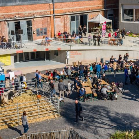 Marché Paysan - MEISENTHAL - 10 octobre 2021