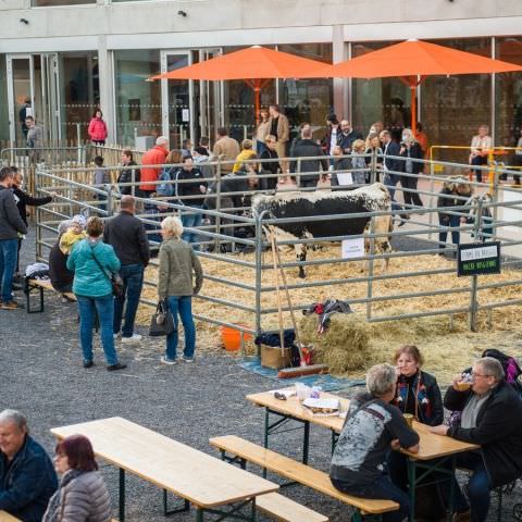 Marché Paysan - MEISENTHAL - 10 octobre 2021