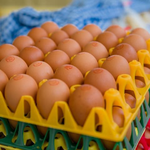 Marché Paysan - LEMBERG - 21 novembre 2021