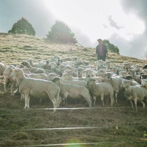 Marché Paysan - BITCHE - 02 octobre 2016