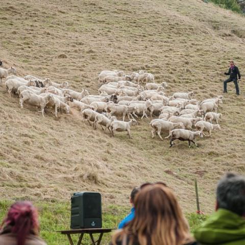 Marché Paysan - BITCHE - 02 octobre 2016