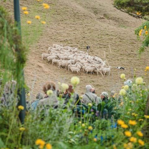 Marché Paysan - BITCHE - 02 octobre 2016