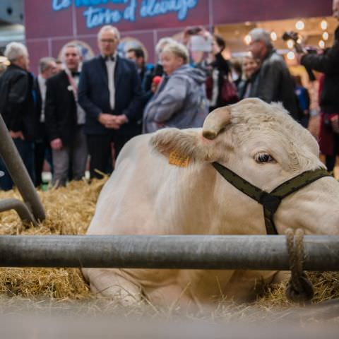 Salon International de l'Agriculture - Mars 2022