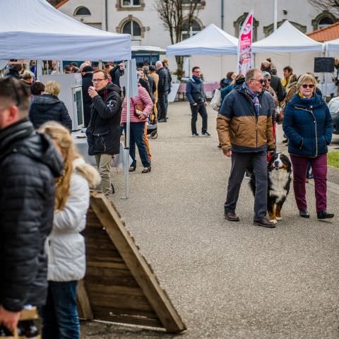 Marché Paysan - ST LOUIS LÈS BITCHE - 03 Avril 2022