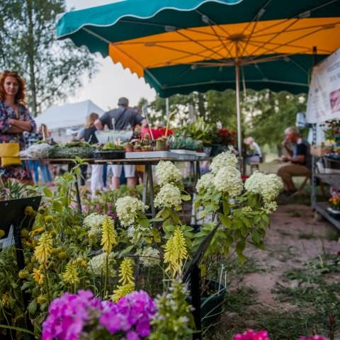 Marché Nocturne - BAERENTHAL - 16 juillet 2022