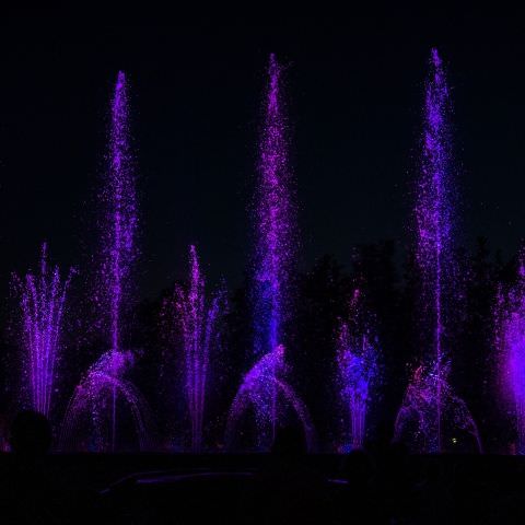 Marché Nocturne - BAERENTHAL - 16 juillet 2022