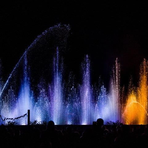 Marché Nocturne - BAERENTHAL - 16 juillet 2022