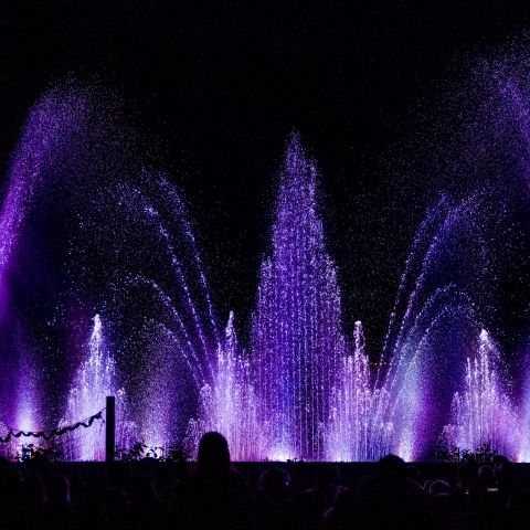 Marché Nocturne - BAERENTHAL - 16 juillet 2022