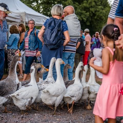 Marché Nocturne - SAINT QUIRIN - 20 août 2022