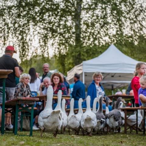 Marché Nocturne - SAINT QUIRIN - 20 août 2022