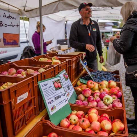 Marché Paysan - BITCHE - 02 octobre 2022