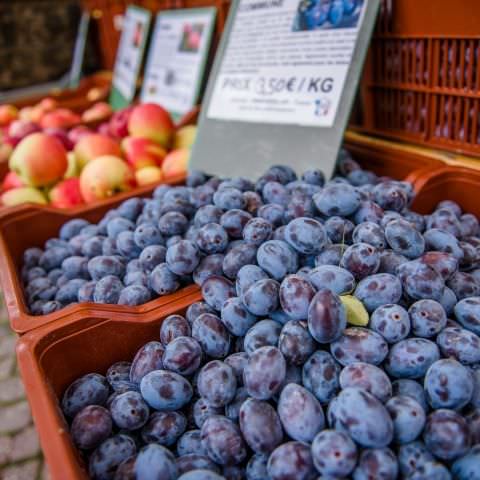 Marché Paysan - BITCHE - 02 octobre 2022