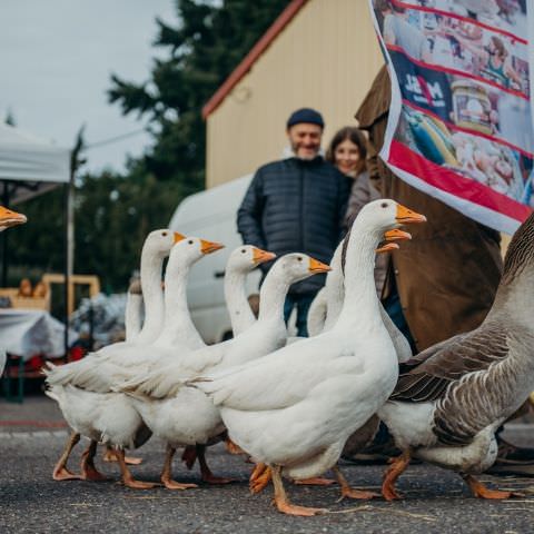 Marché Paysan - LEMBERG - 27 novembre 2022