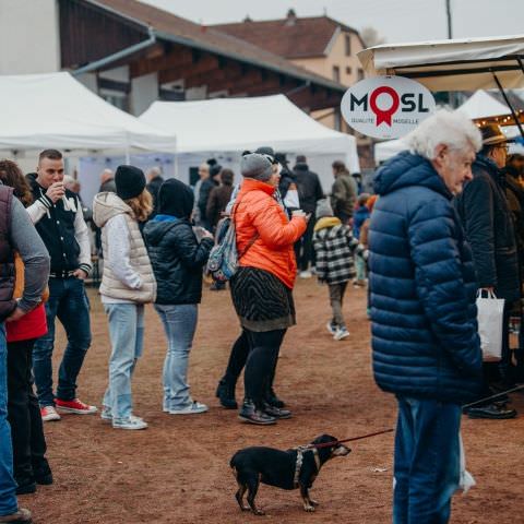 Marché Paysan - LEMBERG - 27 novembre 2022