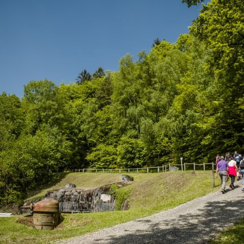 Balade gourmande & Marché des producteurs et artisans - Simserhof / SIERSTHAL - 8 mai 2022