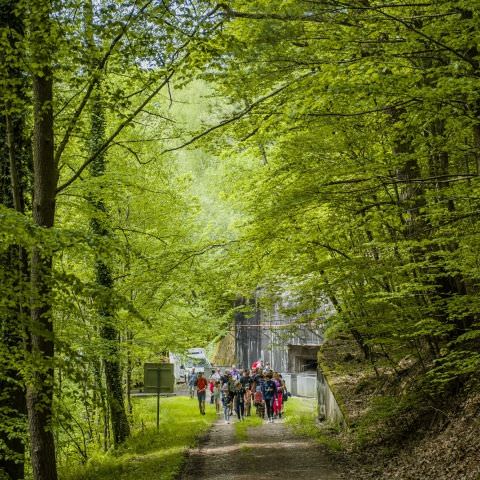 Balade gourmande & Marché des producteurs et artisans - Simserhof / SIERSTHAL - 8 mai 2022