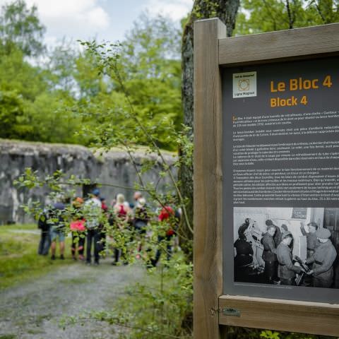 Balade gourmande & Marché des producteurs et artisans - Simserhof / SIERSTHAL - 8 mai 2022