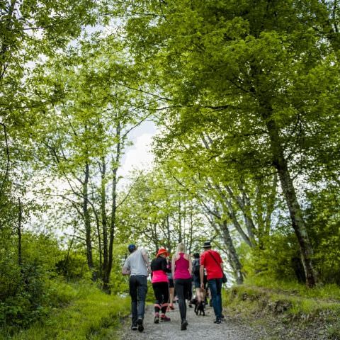 Balade gourmande & Marché des producteurs et artisans - Simserhof / SIERSTHAL - 8 mai 2022