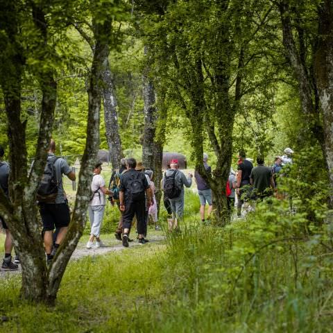 Balade gourmande & Marché des producteurs et artisans - Simserhof / SIERSTHAL - 8 mai 2022