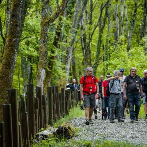 Balade gourmande & Marché des producteurs et artisans - Simserhof / SIERSTHAL - 8 mai 2022