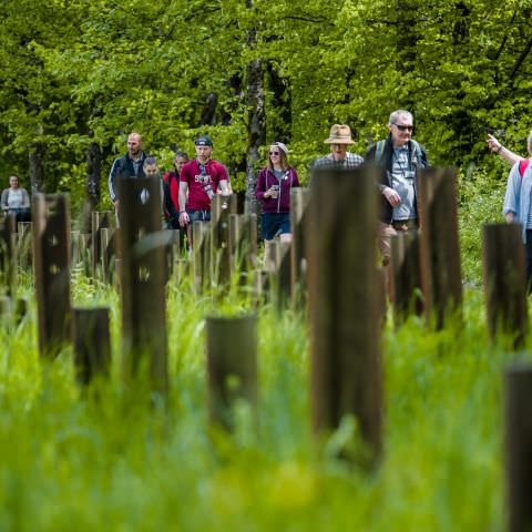 Balade gourmande & Marché des producteurs et artisans - Simserhof / SIERSTHAL - 8 mai 2022