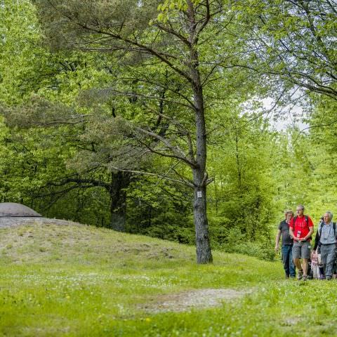 Balade gourmande & Marché des producteurs et artisans - Simserhof / SIERSTHAL - 8 mai 2022