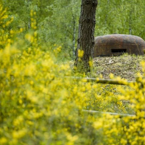 Balade gourmande & Marché des producteurs et artisans - Simserhof / SIERSTHAL - 8 mai 2022