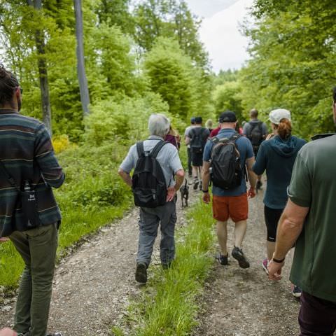 Balade gourmande & Marché des producteurs et artisans - Simserhof / SIERSTHAL - 8 mai 2022