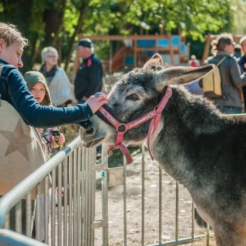 Marché Paysan - SARREGUEMINES - 16 octobre 2016