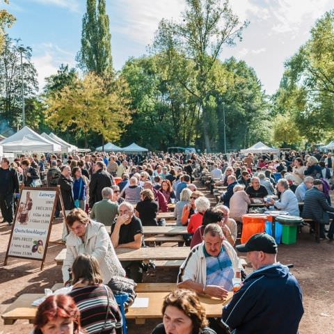 Marché Paysan - SARREGUEMINES - 16 octobre 2016