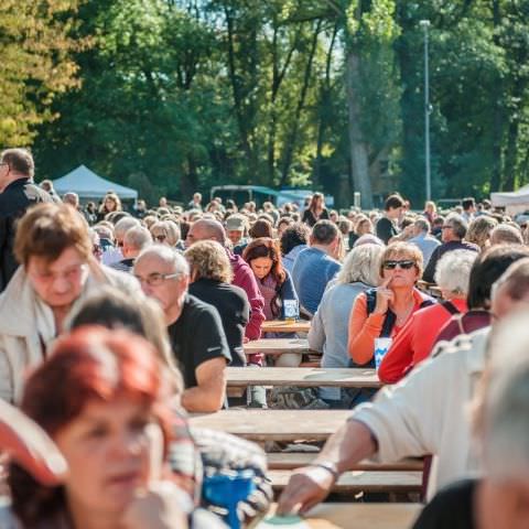 Marché Paysan - SARREGUEMINES - 16 octobre 2016