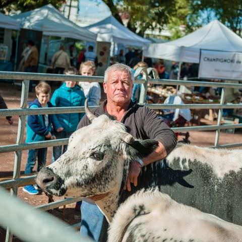 Marché Paysan - SARREGUEMINES - 16 octobre 2016